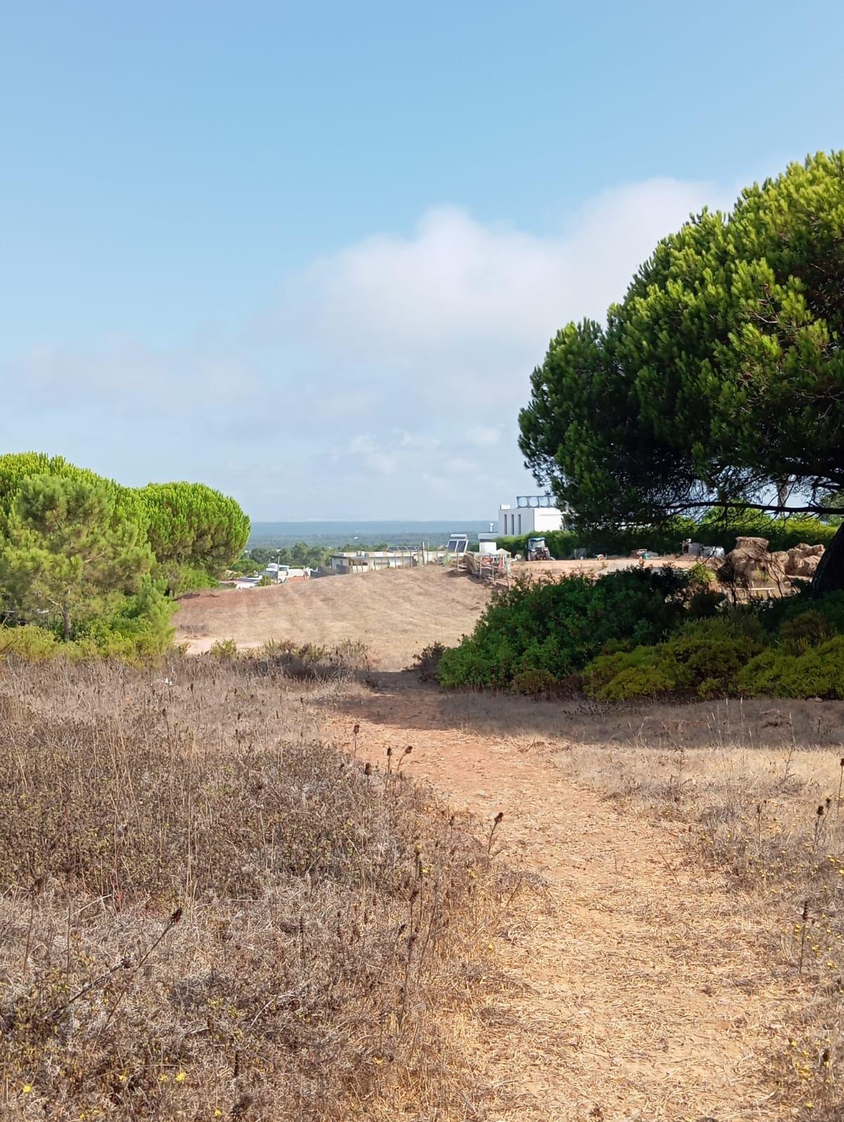 Fotografia 9 de Terreno com área de 10.000m2 com projeto aprovado perto da Aldeia do Meco