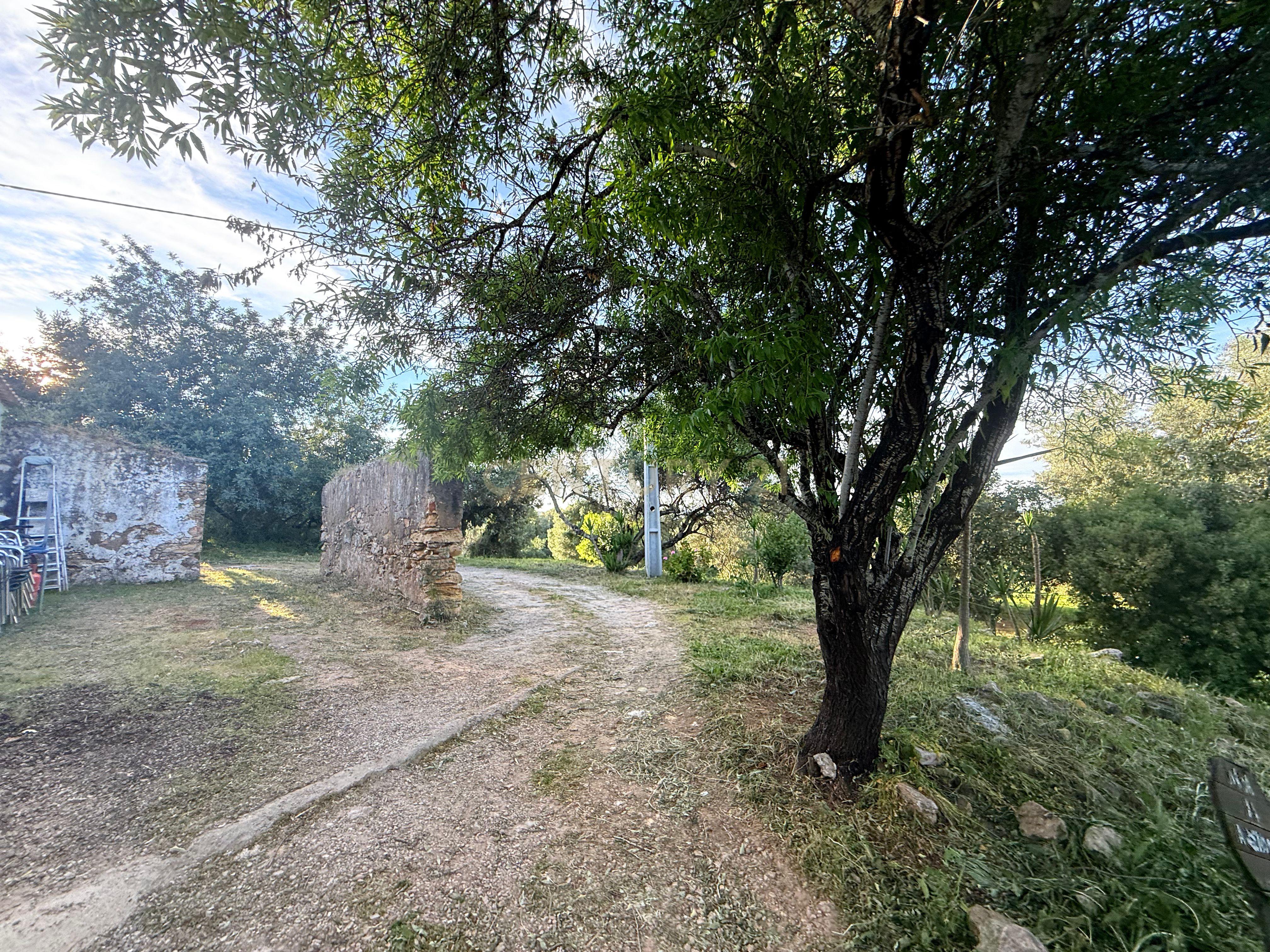 Fotografia 5 de Casa Típica para Recuperar em Moncarapacho, Olhão