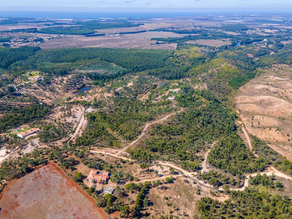 🌿 Terreno Exclusivo com 8 ha em São Teotónio — Oportunidade Única no Coração da Costa Vicentina 🌊 - Image 7
