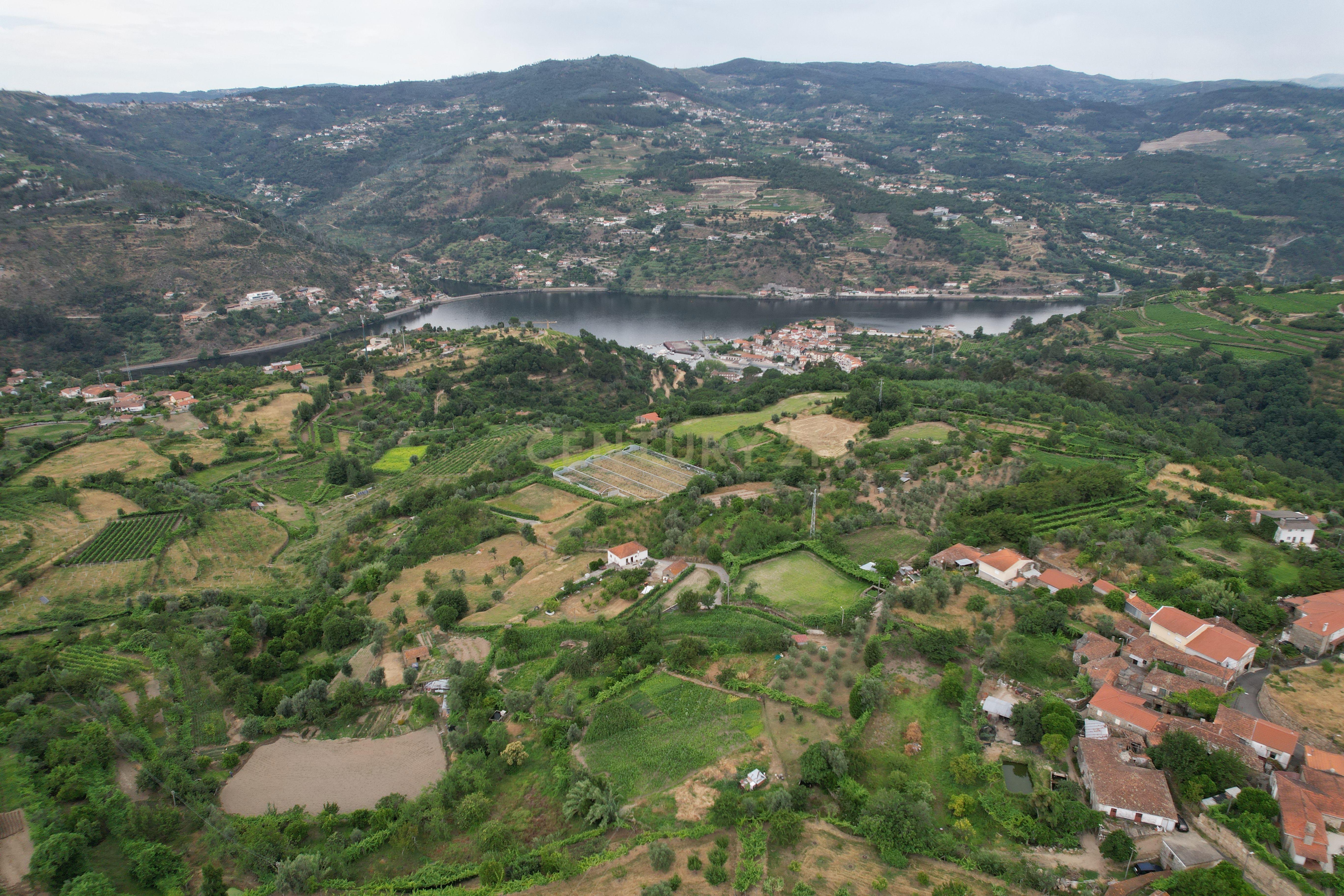 Fotografia 8 de Quinta em Miomães, Resende | Um refúgio rural com cerca de 4 hectares de potencial