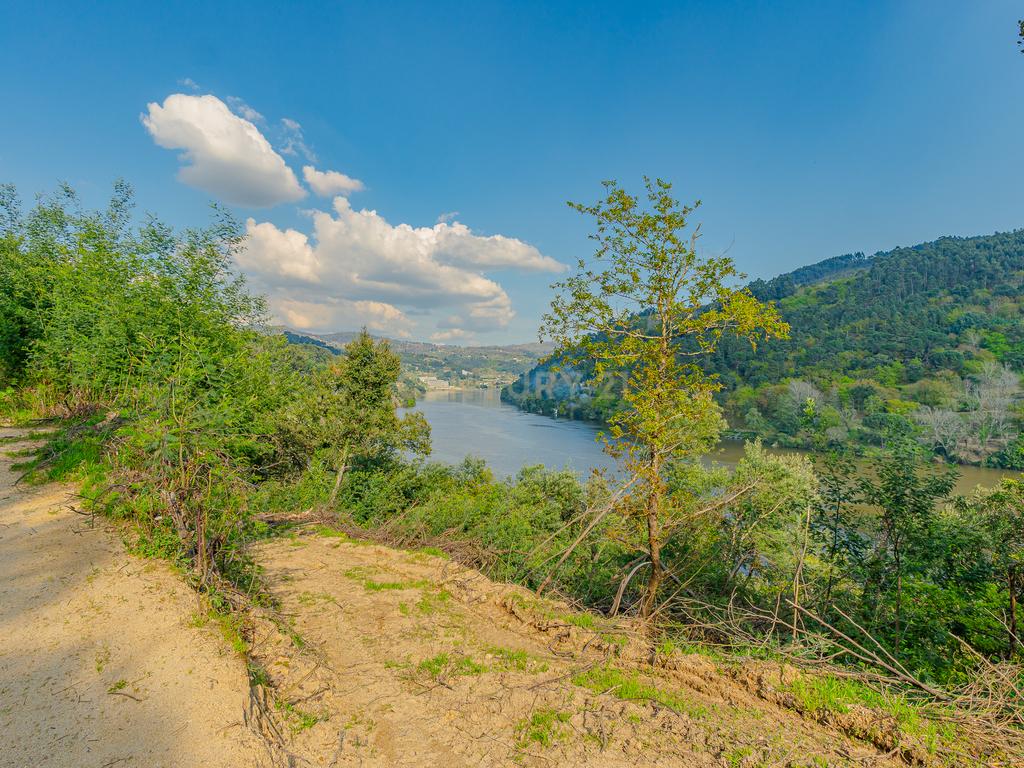 Terreno com magnifica Vista para o Rio Douro em Paços de Gaiolo - Image 8