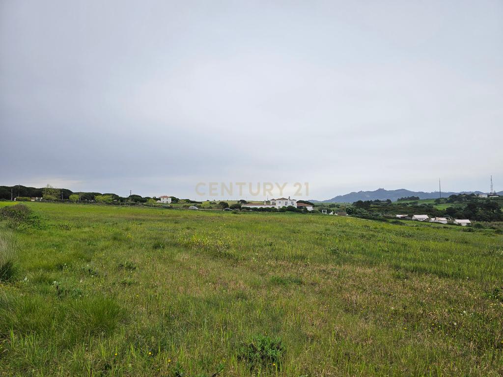 Terreno Rústico | 14160m2 | Sintra | Fontanelas | Av. Nossa Senhora da Esperança - Image 26