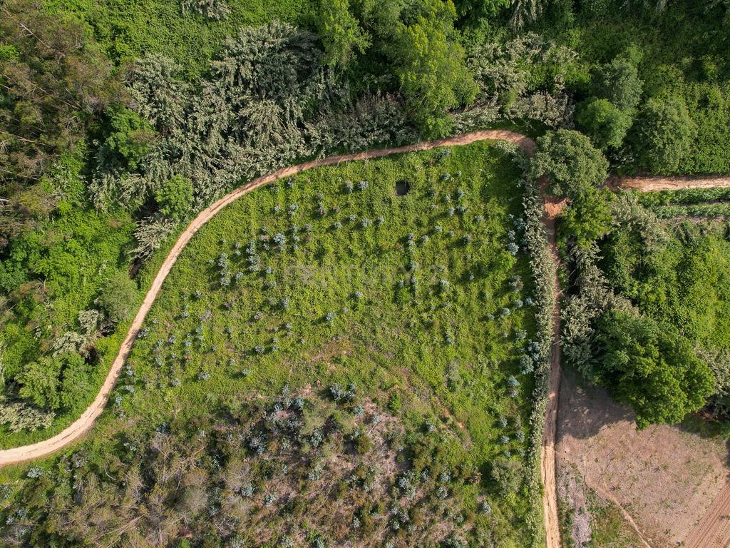 Terreno Rústico com mais de 1.5 Hectares em Mafra – Vista Linda e Perto da Ericeira! - Image 5