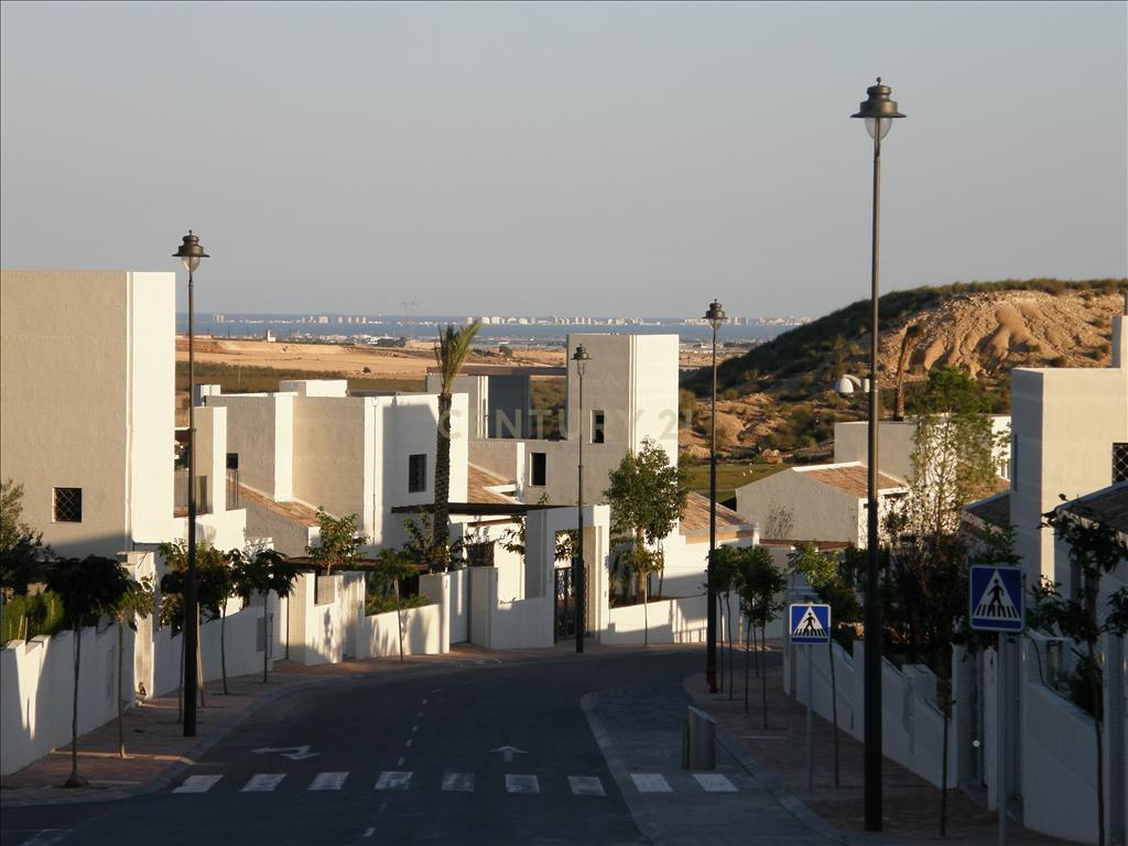  - Image 7