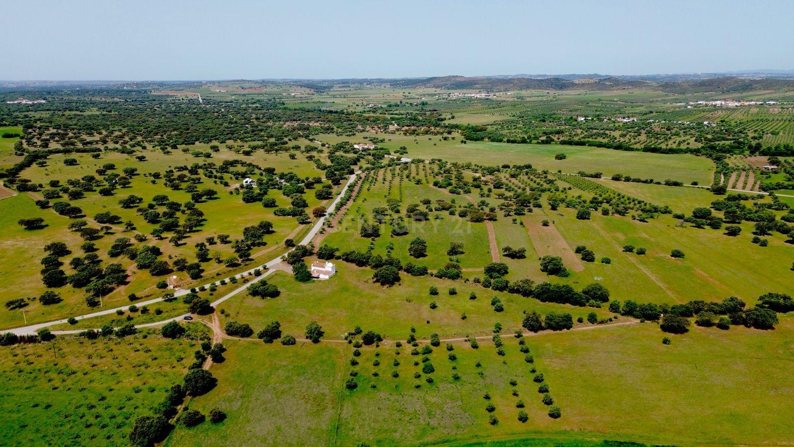 Fotografia 9 de Terreno em Monsaraz junto ao Castelo