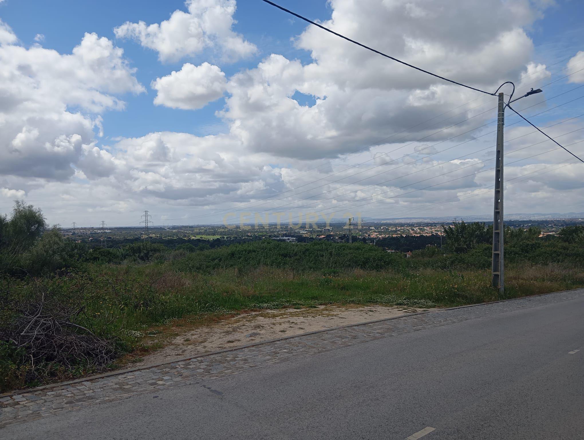 Fotografia 3 de Terreno para Loteamento – Quinta dos Carvalhos, Palmela