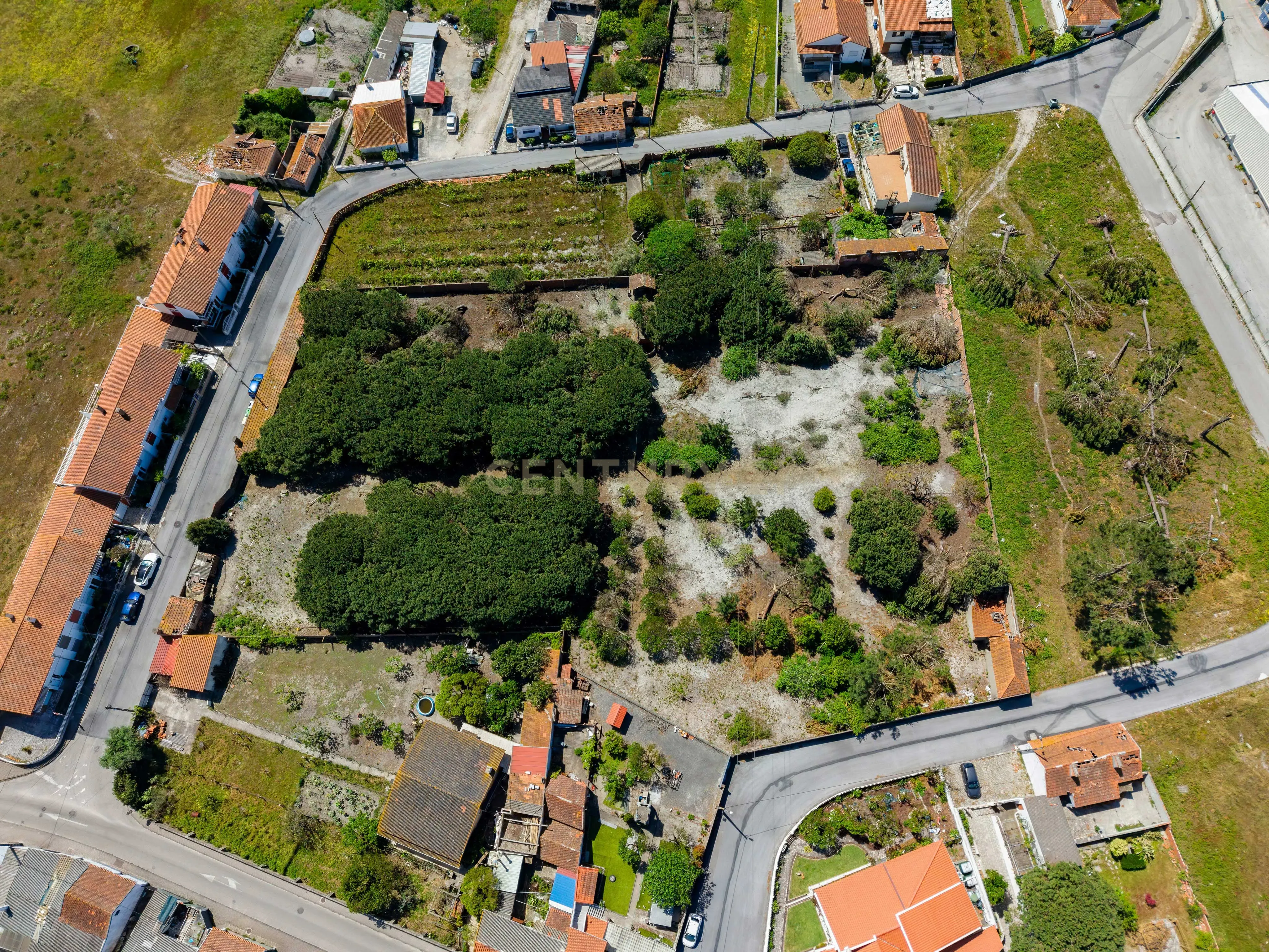 Fotografia 5 de Terreno com potencial de desenvolvimento urbanístico | 6.803 m² | Comeira – Marinha Grande