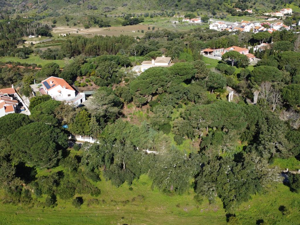 🏡 Terreno para Construção – 2.746 m² | Oportunidade Única Perto de Setúbal! 🌿 - Image 27