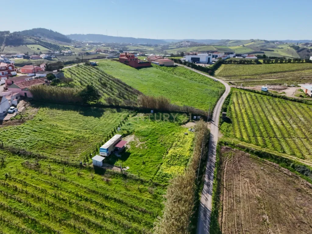 Terreno para Construção - Casal da Serpegeira, Ventosa (Torres Vedras) - Image 11