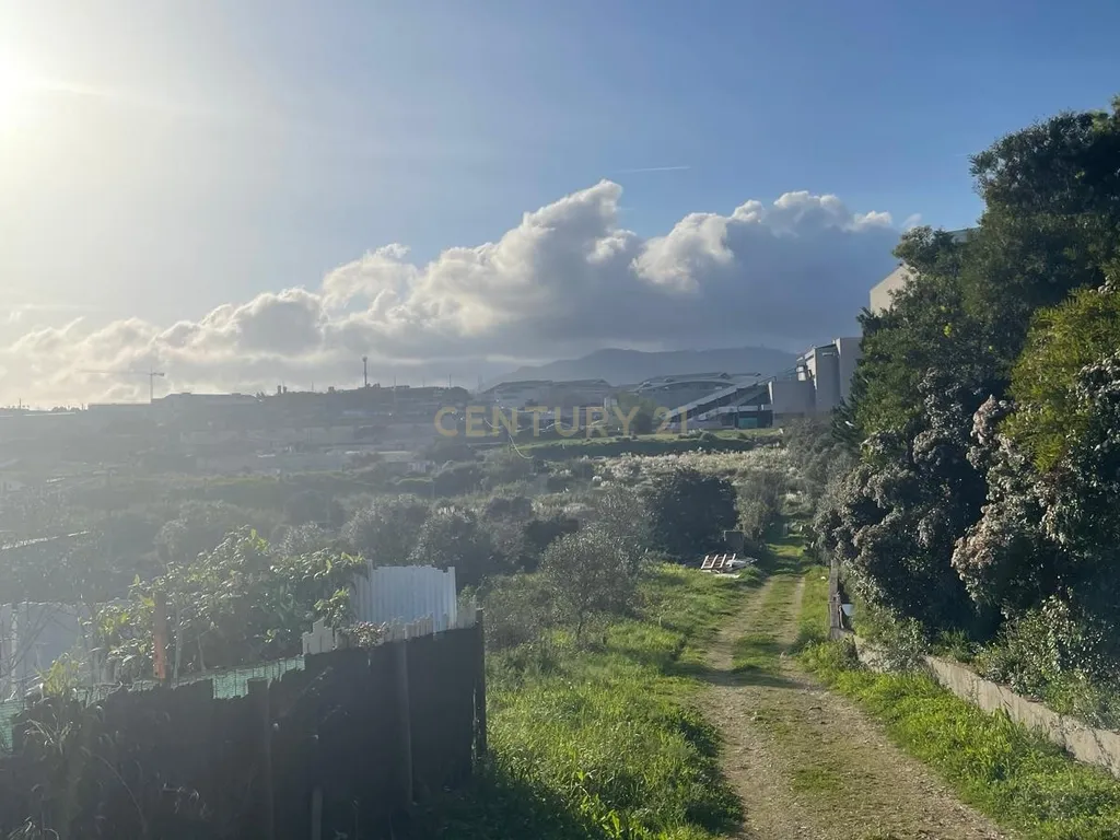 Oportunidade de Investimento em Rio de Mouro – Cabeça Gorda / Anafais - Image 15