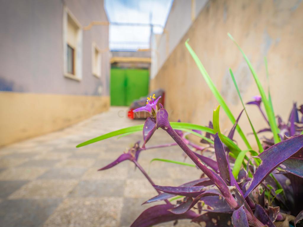 Moradia T3, com Varanda e Espaço Exterior, no Peixe Frito, em Setúbal - Image 18