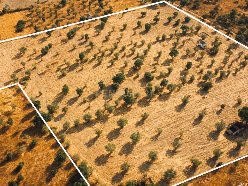 Propriedade rústica com potencial agrícola, habitacional e turístico – 3,12 hectares – Nisa - Image 12