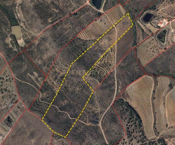 Terreno rustico de 38.000 m2 excellente para projeto agrícola - Image 16