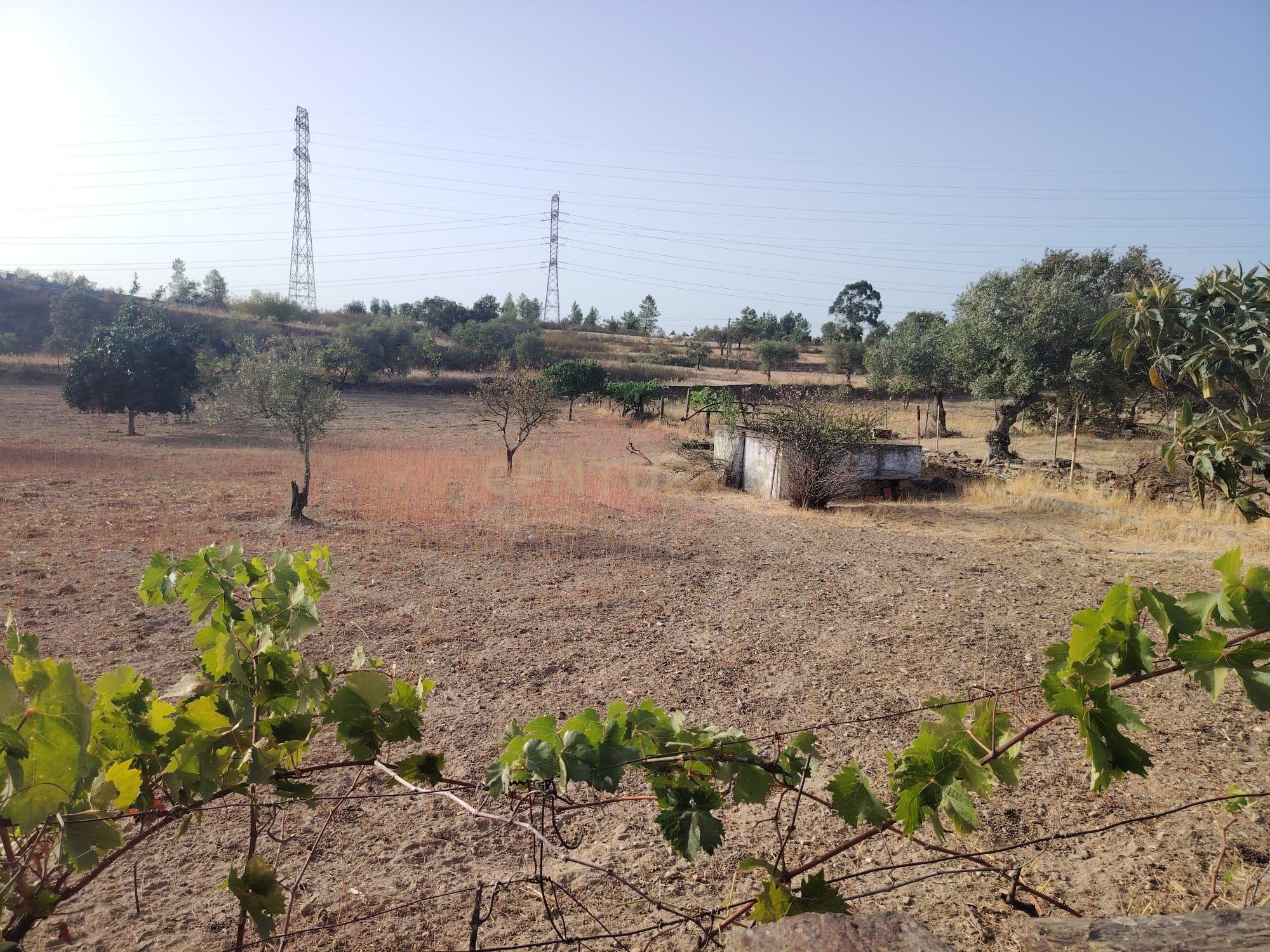 Fotografia 2 de OPORTUNIDADE DE INVESTIMENTO | TERRENO RÚSTICO, AMARELOS