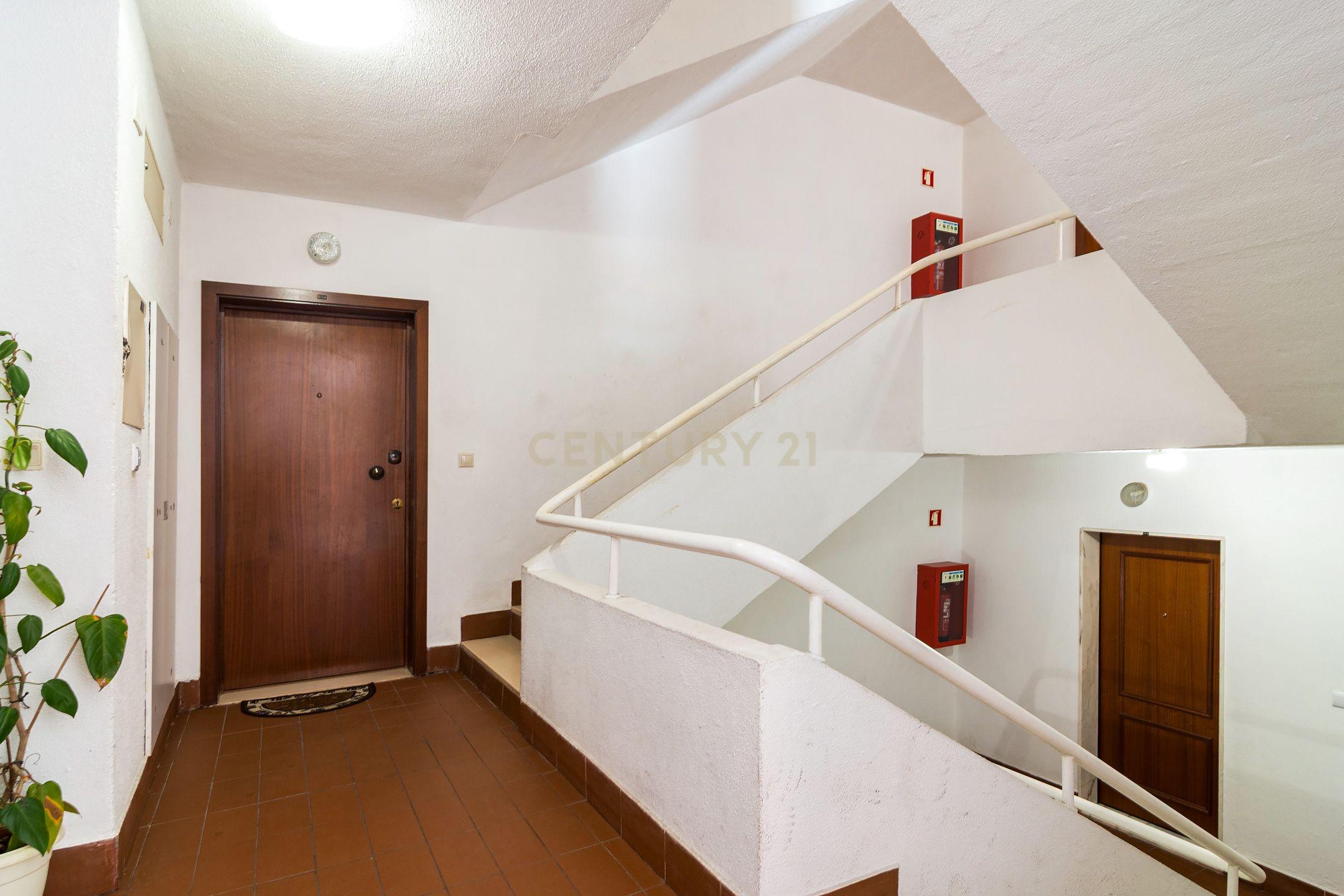 T3 Serafina - Image 3
