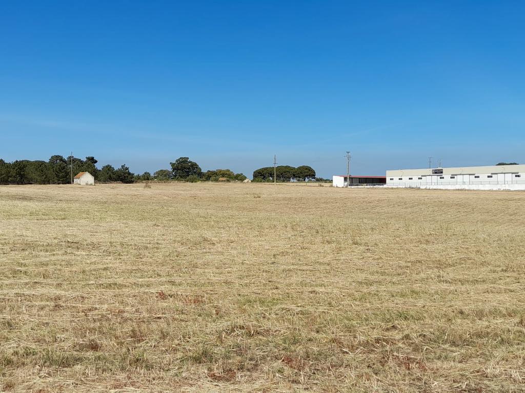 Terreno urbano com possibilidade de construção em Vale da Resina, freguesia de Alcochete - Image 5