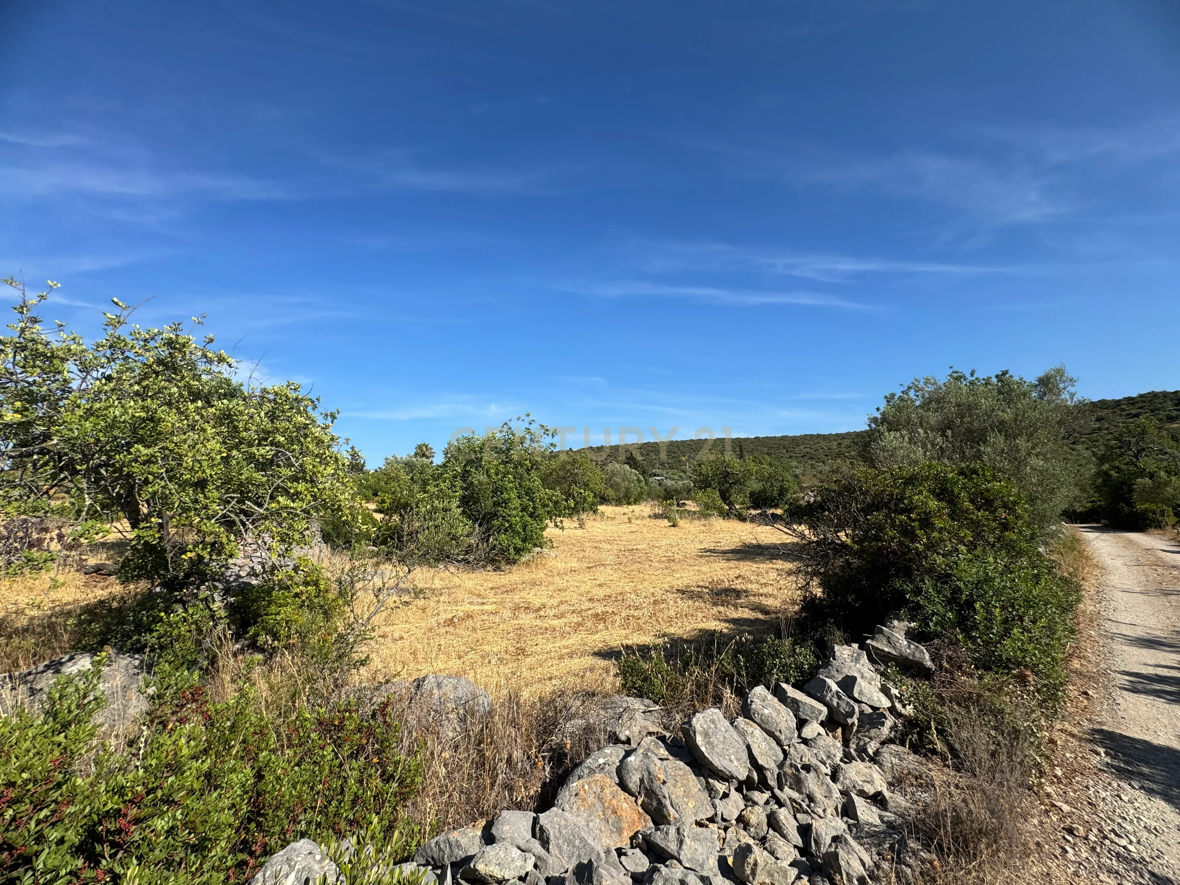 Fotografia 11 de Terreno Rústico com 3.560 m² em Pereiro – Moncarapacho, Olhão