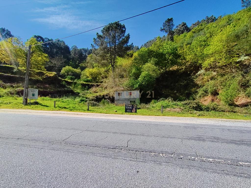 Quinta com moradia em Gondar, perto da Amarante, Porto à face da estrada com muito terreno e água - Image 43
