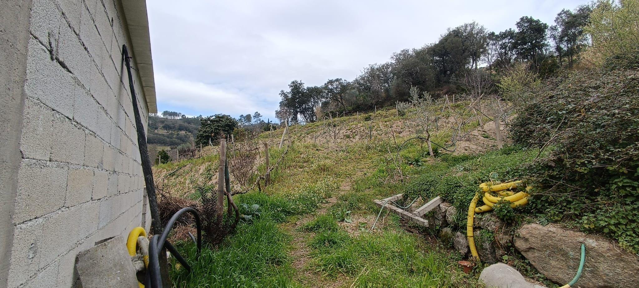 Terreno agrícola com àgua e viabilidade de construção em Granja, S. Tomé de Covelas, Baião, perto do do rio Douro, Porto - Image 37