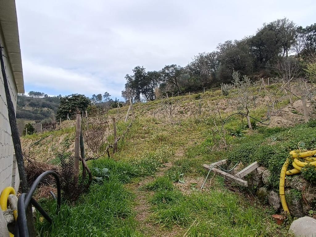 Casa com terreno de construção e agrícola perto do rio Douro em Granja, S. Tomé de Covelas, Baião, Porto - Image 37