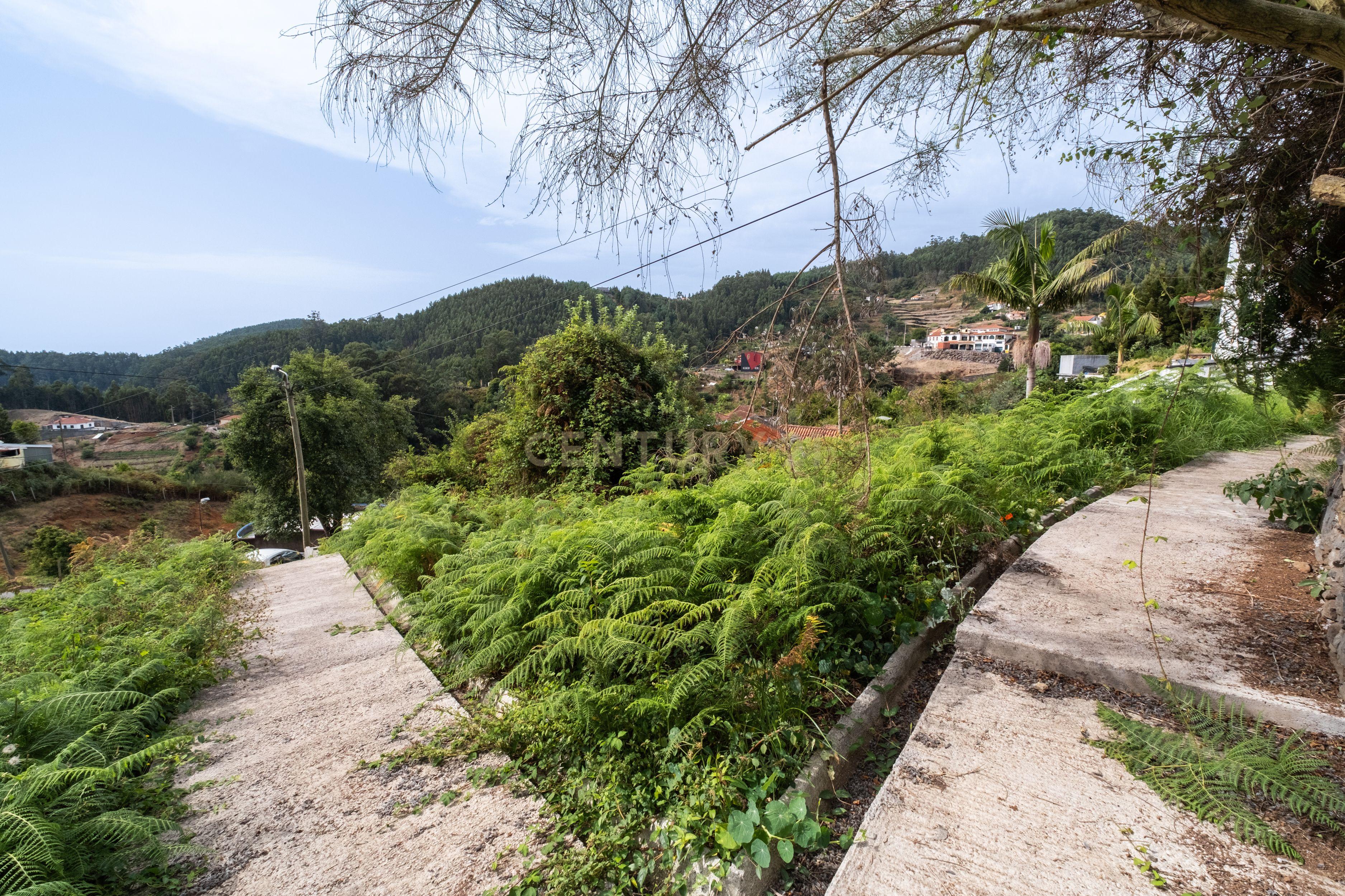 Moradia T1 à venda em Santo António da Serra, Santa Cruz — foto 32