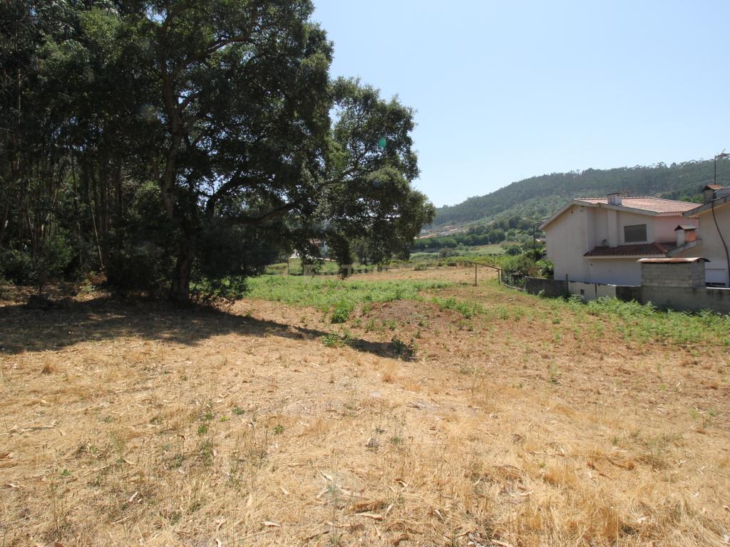 Terreno em Galegos - Penafiel - Image 8