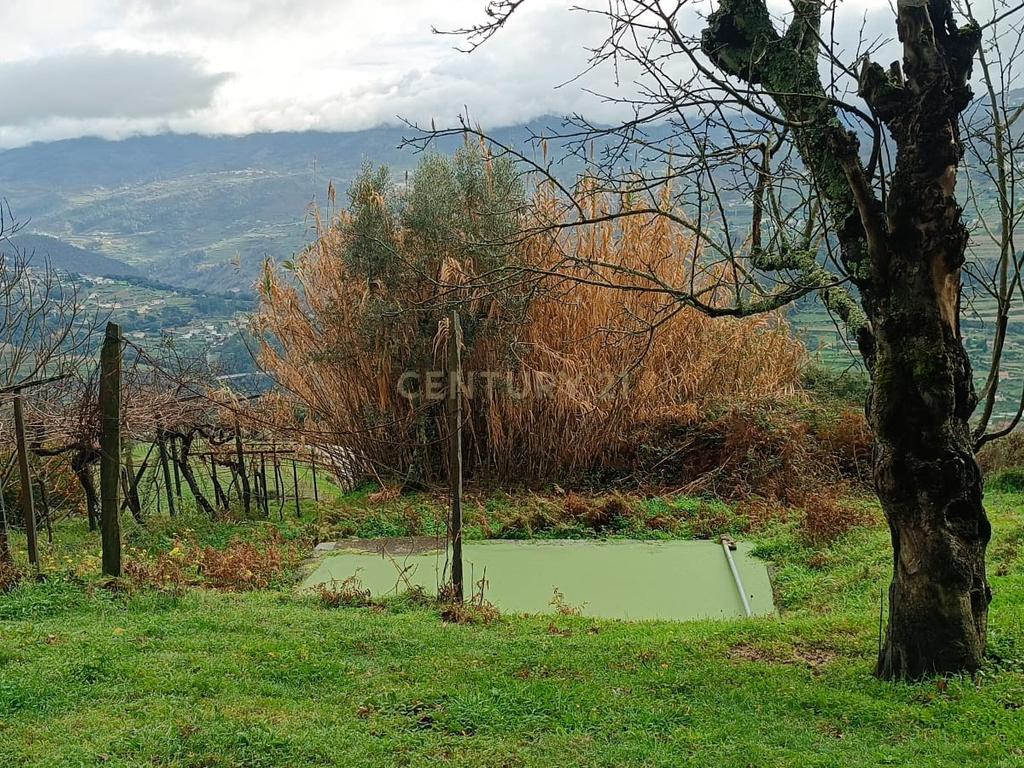 Belíssima ruína em terreno verdejante com vista deslumbrante para o Rio Douro, Baião, Porto - Image 23