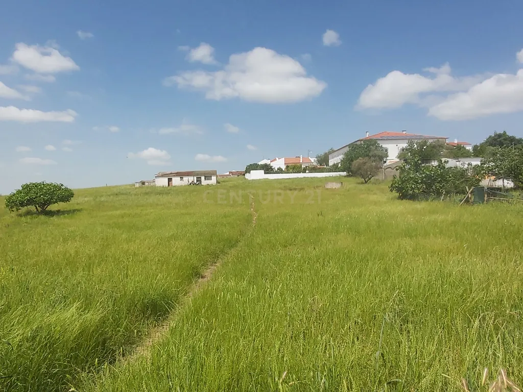 🌟 Oportunidade Única: Terreno Urbano com 12.850 m² a 7 km de Beja! - Image 10