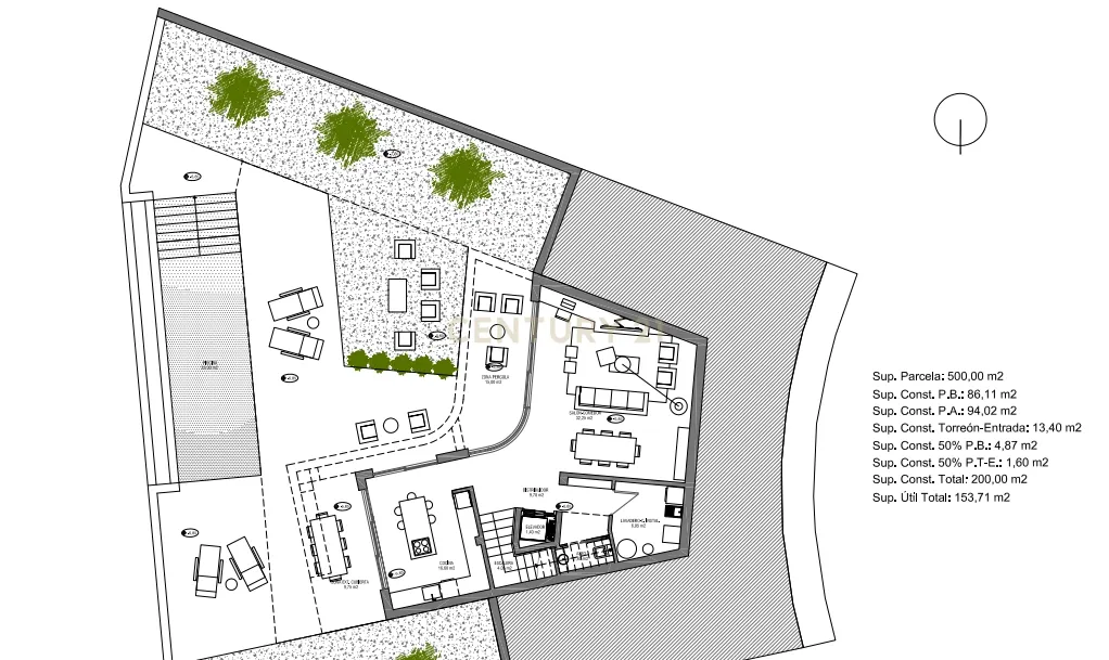 - Image 7