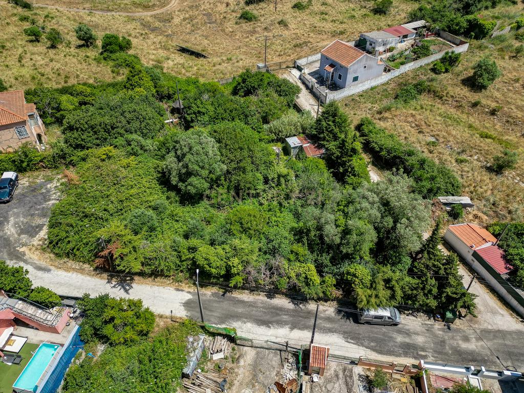 Terreno à Venda em Vale de Almornos – 1.000 m² de Natureza, Potencial e Tranquilidade! - Image 14
