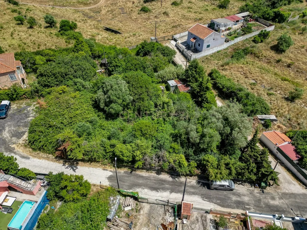 Terreno à Venda em Vale de Almornos – 1.000 m² de Natureza, Potencial e Tranquilidade! - Image 14
