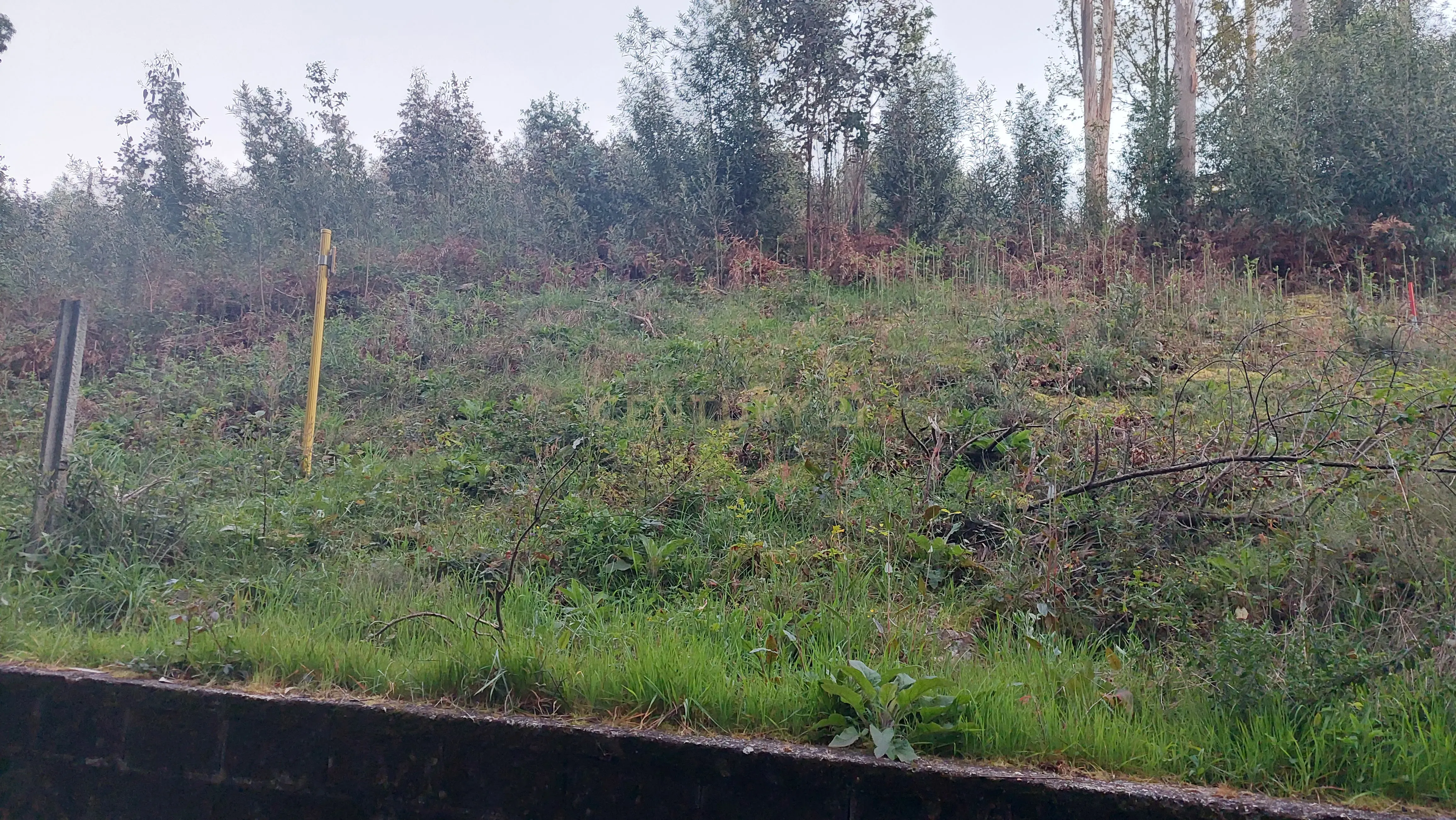 Terreno Rustico em Crestuma, Vila Nova de Gaia - Image 13