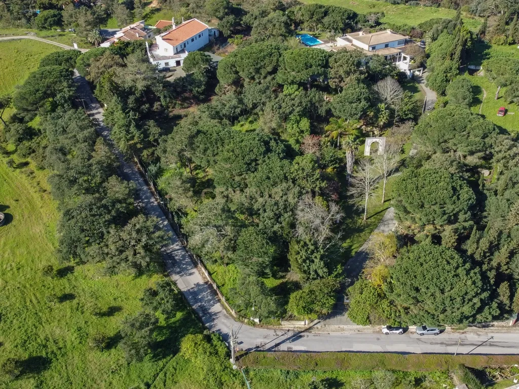 🏡 Terreno para Construção – 2.746 m² | Oportunidade Única Perto de Setúbal! 🌿 - Image 37
