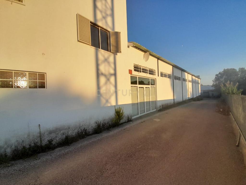 Armazéns – Parque Industrial da Adroana | Excelente Localização e Potencial Multifunções - Image 3
