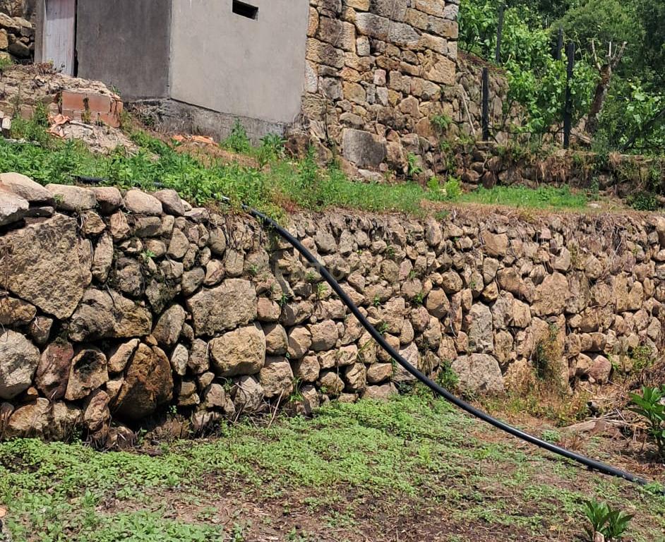 Oportunidade Única: Moradia para reconstrução em Penha Longa, Marco de Canaveses - Image 6