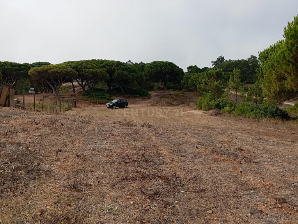Terreno com área de 10.000m2 com projeto aprovado perto da Aldeia do Meco - Image 13