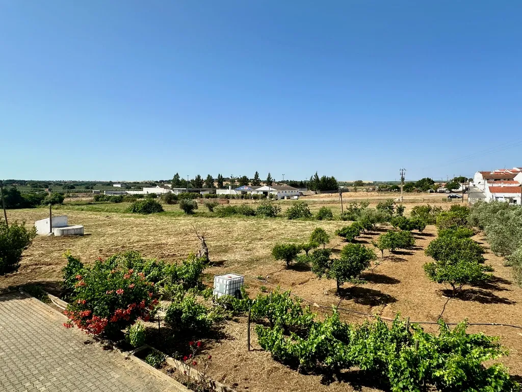 Alentejo-BEJA- Nossa Senhora das Neves, Excelente Quinta, com MORADIA de 267,3 m2 , Casa de Monte de 90 m2 e 23000 m2 de Terreno com Furo e Poço - Image 6