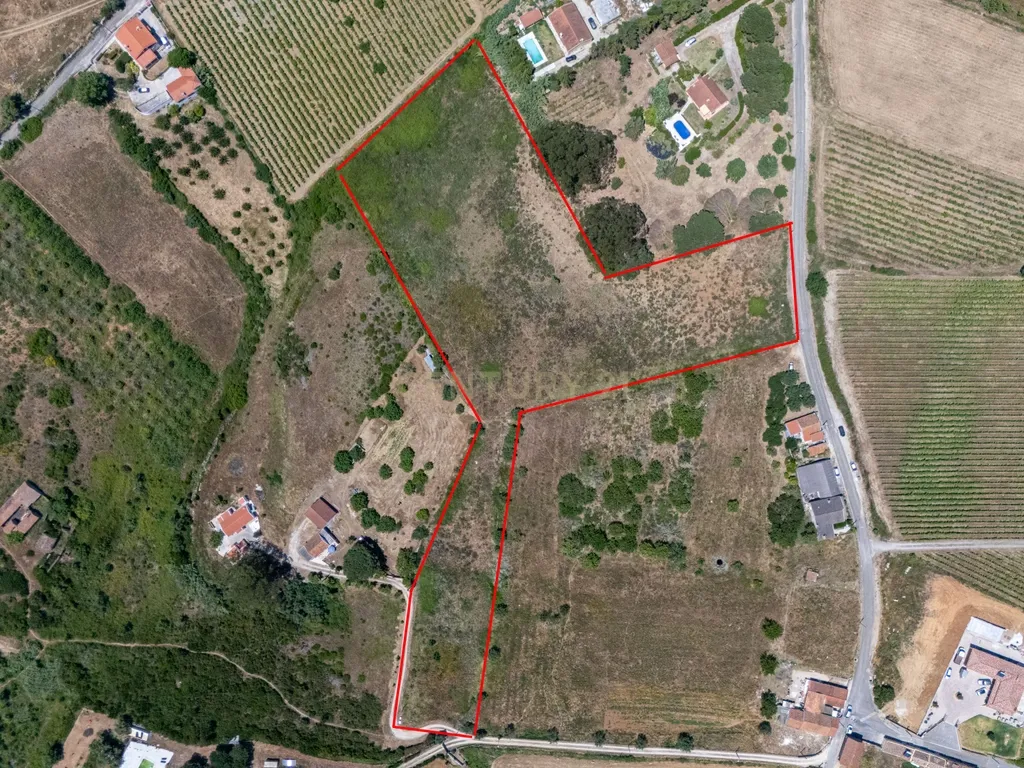 Oportunidade Única de Investimento em Terreno com Potencial Agrícola e Urbanizável – Canhestro 14.960 m². - Image 2