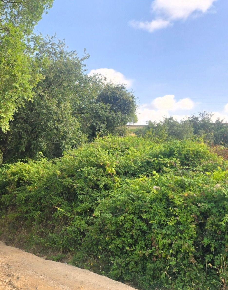 Fotografia 3 de Terreno de 2.880 m² no Arneiro - Oportunidade no Coração do Oeste