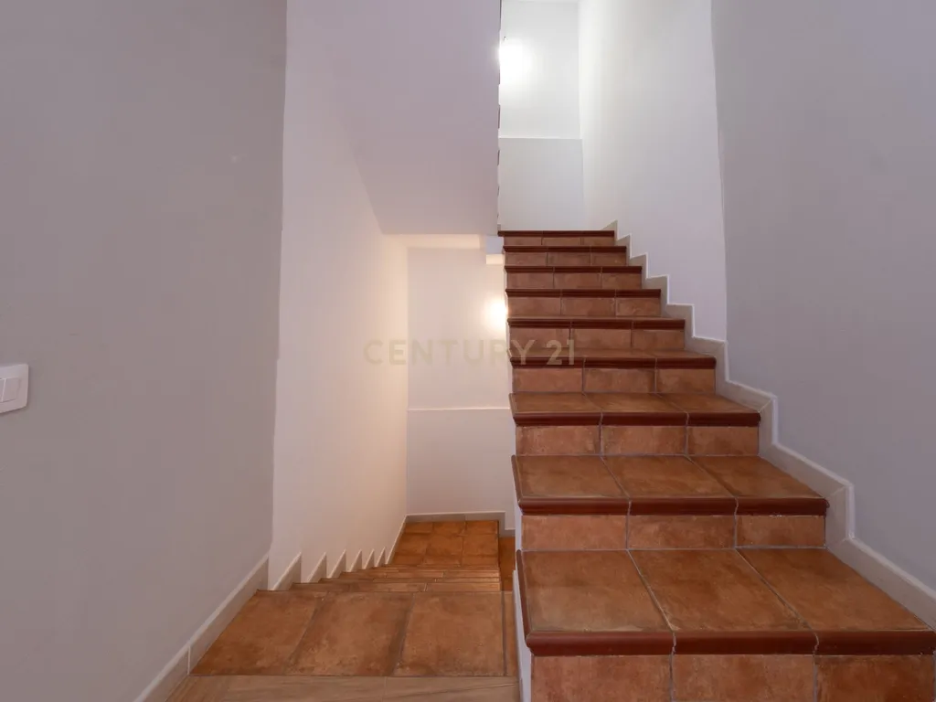 - Image 22