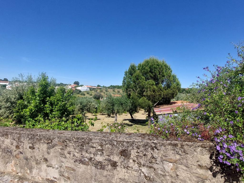 Terreno em Alcafozes, Idanha a Nova com Vista e Árvores de Fruto - Image 18