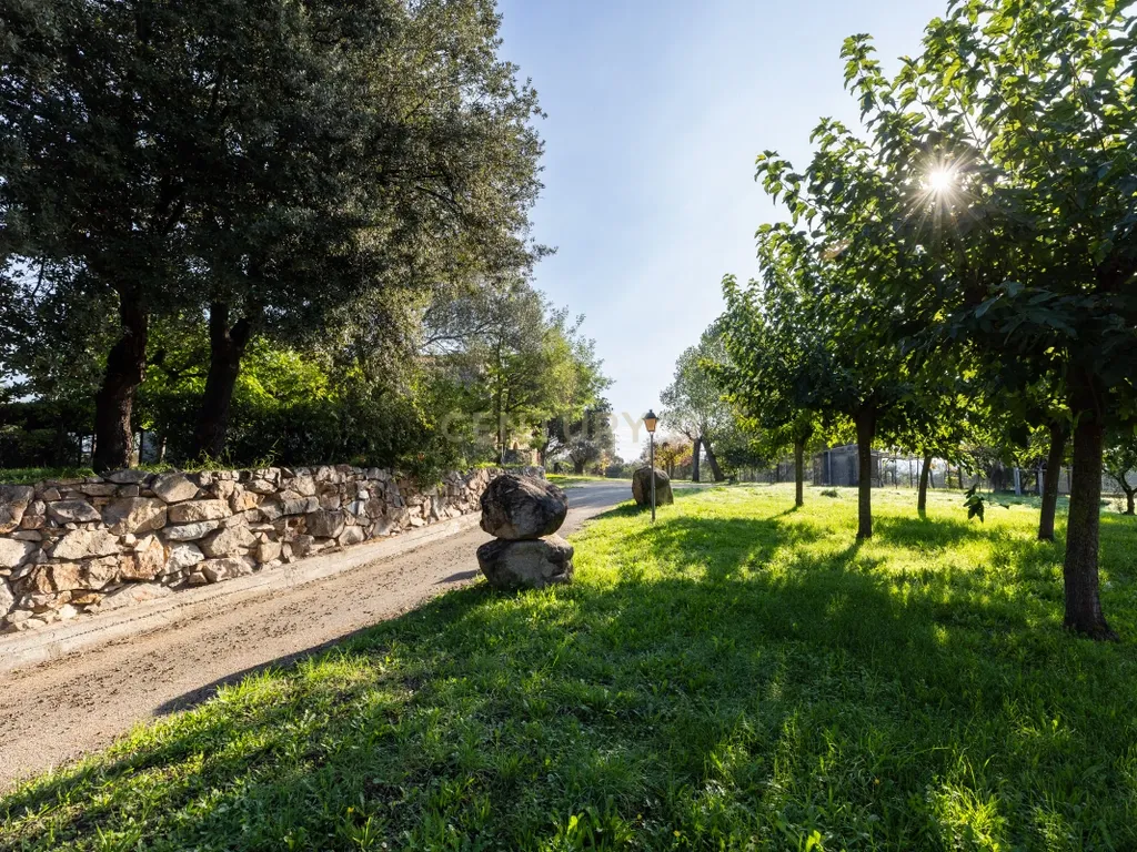 MASIA CATALANA EN VENDA A LLAGOSTERA – MÉS DE 7 HECTÀREES DE TERRENY, LLICÈNCIA TURÍSTICA, PISCINA I CAMP DE FUTBOL - Image 2