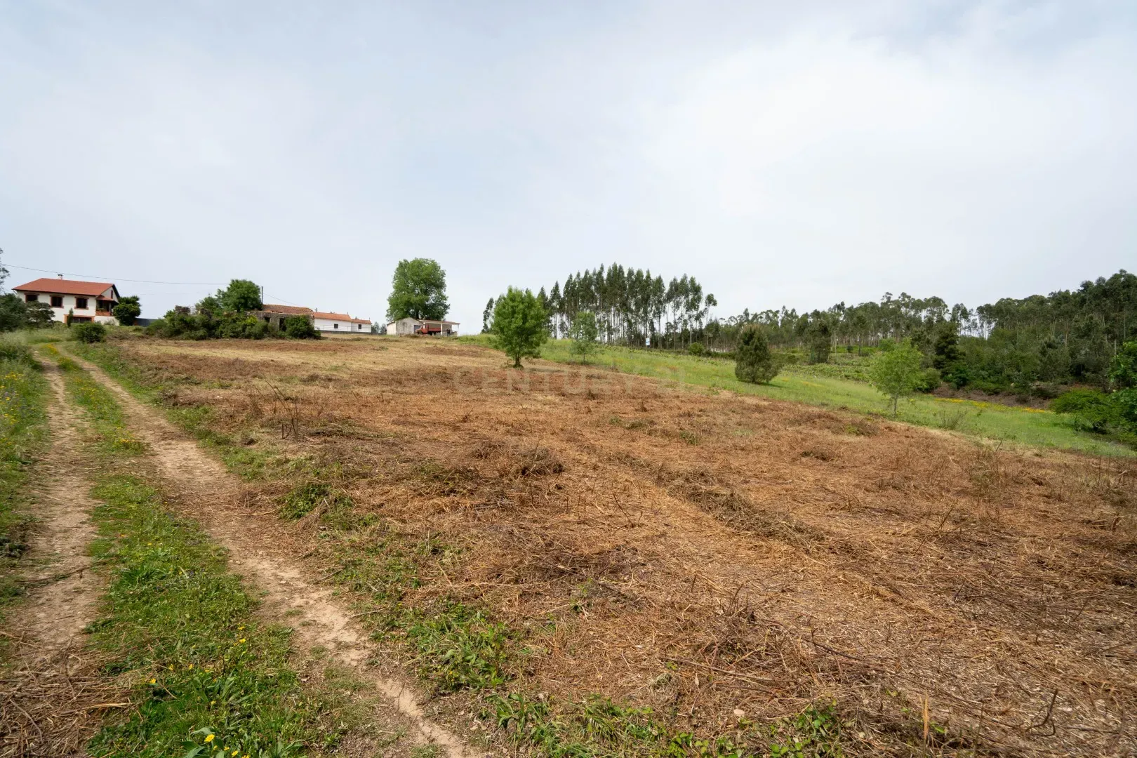 Fotografia 6 de Terreno com furo de água e duas pequenas edificações em ruina para reabilitar