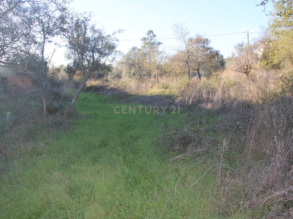 Terreno para construção de moradia - Image 5