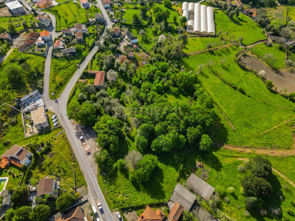 🌿 Quinta Rústica com 15.075 m² | Para Recuperar | Póvoa de Lanhoso, Braga - Image 9