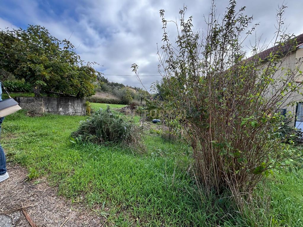 Moradia em ruína para recuperação em Pombal, Leiria - Image 28