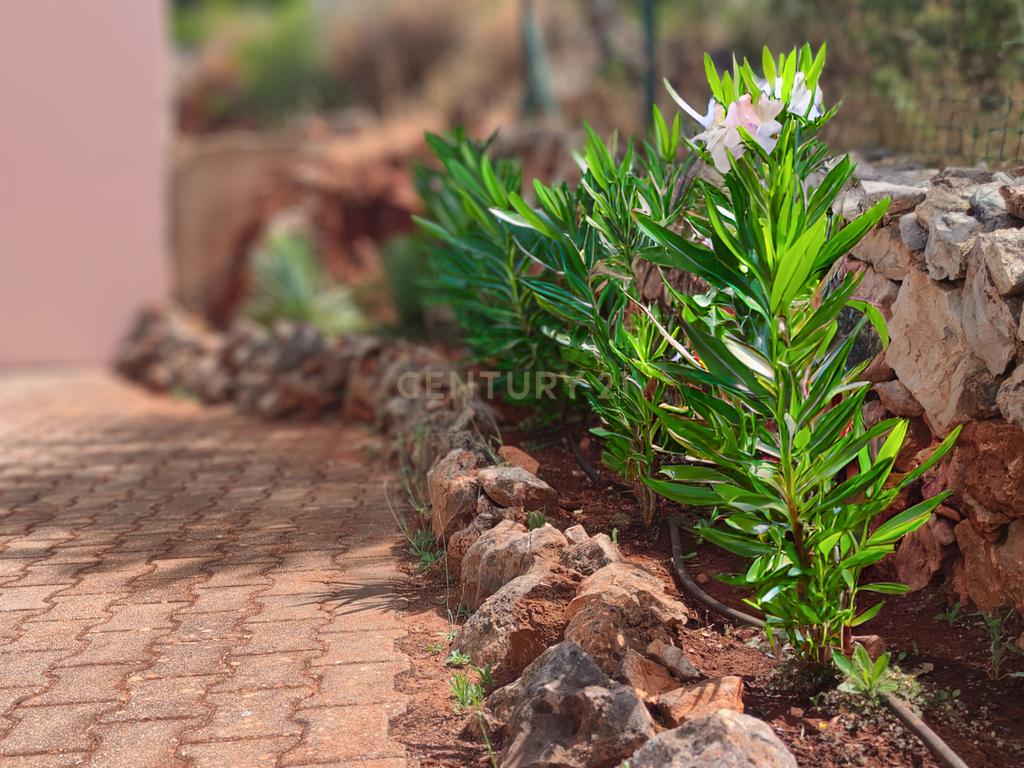 Quinta encantadora com potencial de expansão perto de Albufeira - Image 32