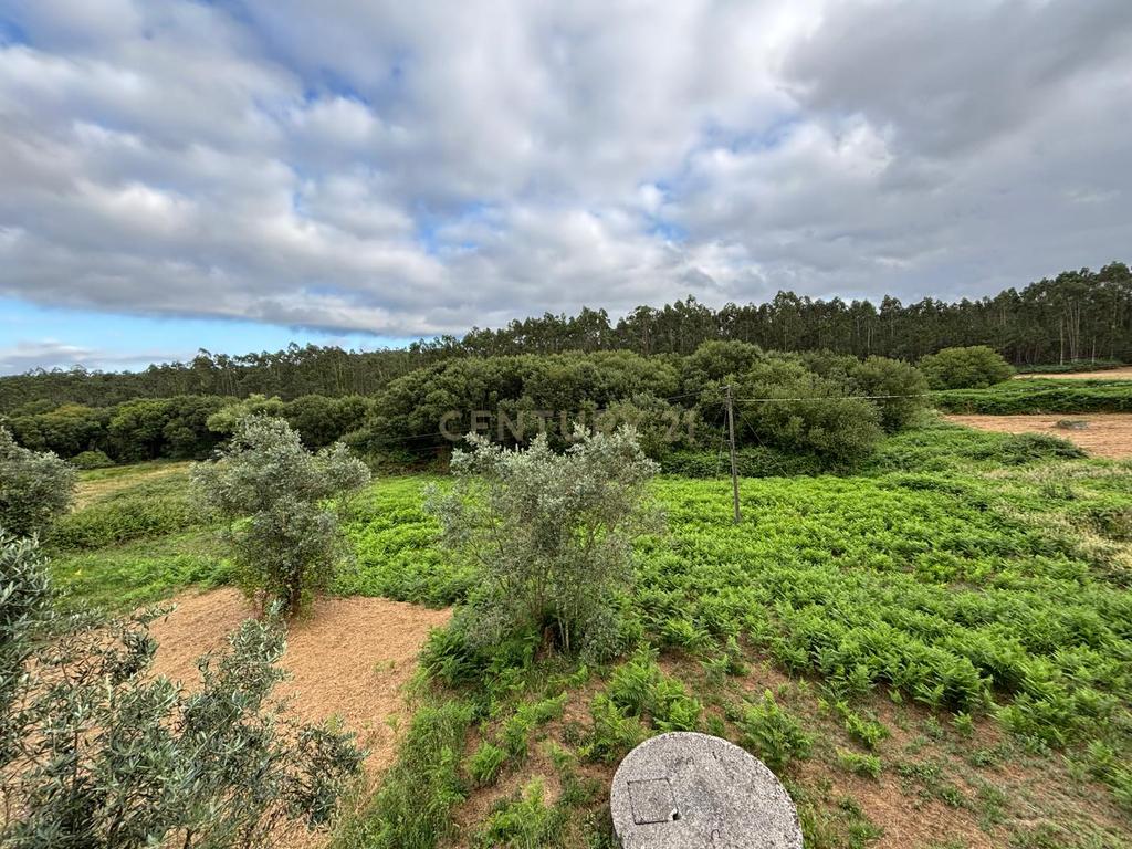 Terreno em Albergaria dos Doze com moradia T5 em fase de conclusão - Image 22