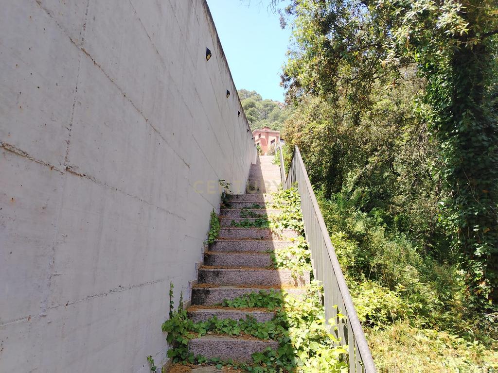  - Image 33