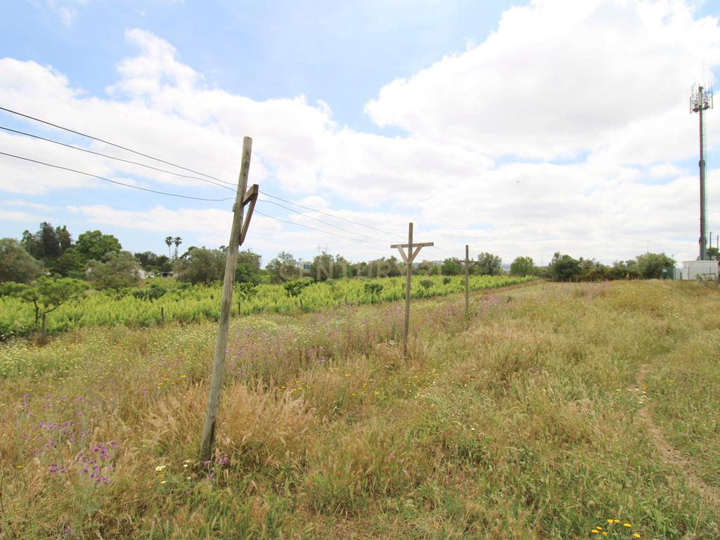 Quinta em Palmela - Image 33
